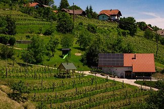 Vakantiehuis Ontspannende vakantie Slovenië