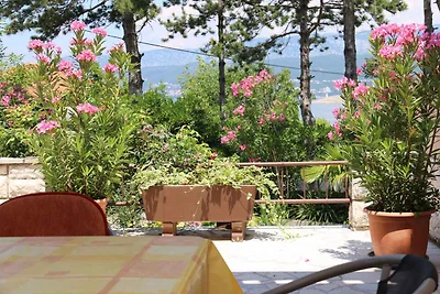Appartamento Vacanza con famiglia Silo