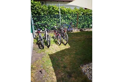 Ferienhaus mit Spielzeug im Garten