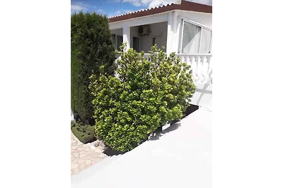 Ferienwohnung mit Terrasse und