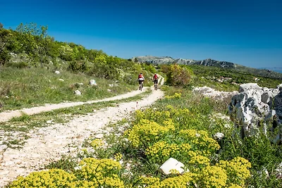 Ferienwohnung mit Meeresausblick