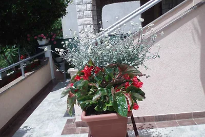 Ferienwohnung mit Blick auf den Nationalpark