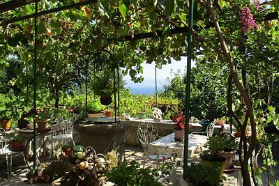 Ferienhaus mit Garten und Meerblick