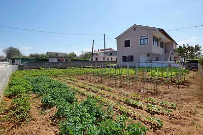 Ferienwohnung mit Klimaanlage und Grill