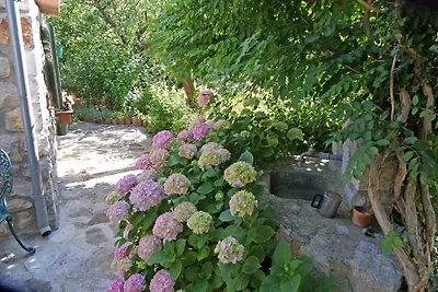 Apartament Dla rodzin Veli Losinj