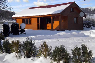 Ferienhaus mit Aussenpool