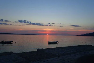 Moderne Apartments Lucija in ruhiger Lage mit