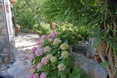 Vakantieappartement Gezinsvakantie Veli Losinj