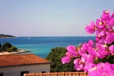Vakantieappartement Gezinsvakantie Lokva Rogoznica