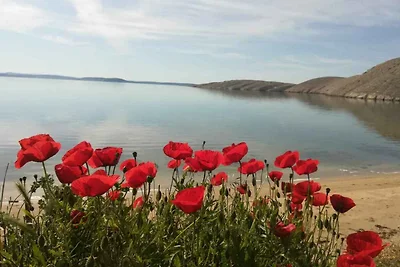 Vakantieappartement Gezinsvakantie Vlašići