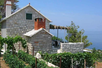 Ferienhaus mit Grill, am Meer