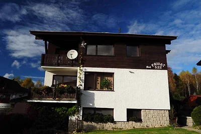 Ferienwohnung Im Skiegebiet