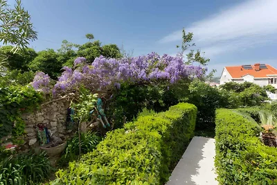 Ferienwohnung schön eingerichtet mit