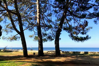 Ferienwohnung in Strandnähe mit Terrasse