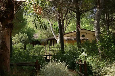 Casa vacanze Vacanza di relax Castiglione della Pescaia