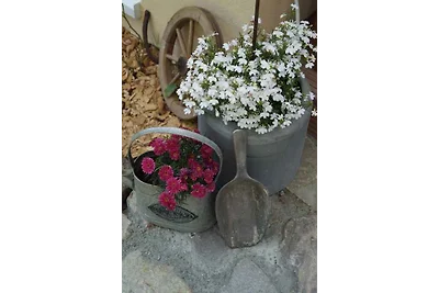 Casa vacanze Vacanza di relax Groß Schoritz