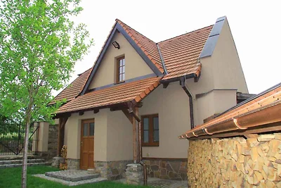 Ferienhaus mit luxuriöse Ausstattung