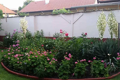 Studio in einer ruhigen Strasse in