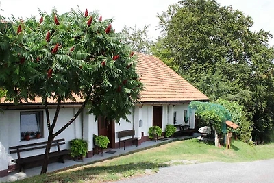 Ferienhaus von Weinbergen umgeben