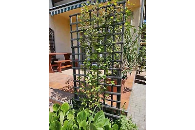 Vakantieappartement Gezinsvakantie Balatonföldvár