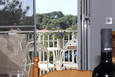 Appartamento Vacanza con famiglia Veli Rat