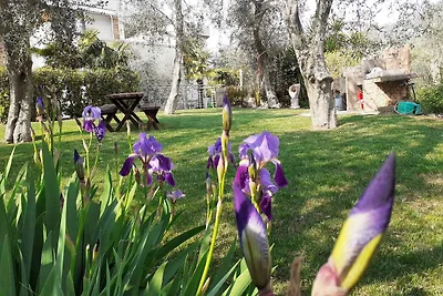 Ferienwohnung Mit Terasse und Pool