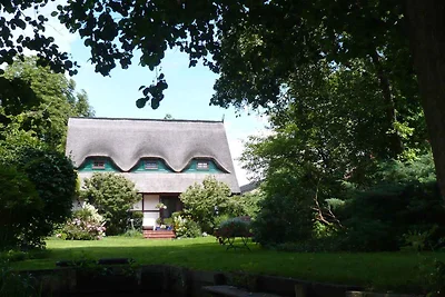 Ferienwohnung am Rande des Spreewaldes