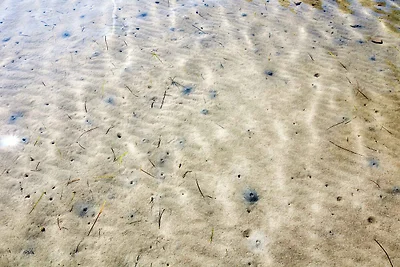 Willkommen im Ferienhaus Punta in Sukošan!