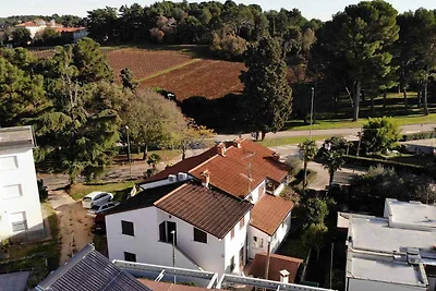 Ferienwohnung mit Klimananlage und Terrasse