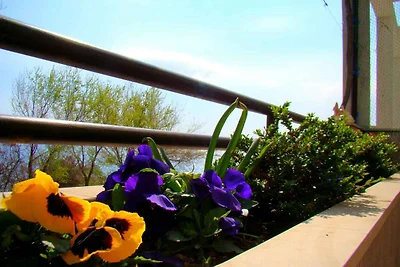 Apartament Dla rodzin Duce