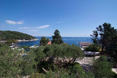 Appartamento Vacanza con famiglia Mali Lošinj