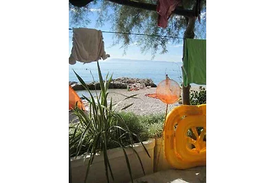 Appartamento Vacanza con famiglia Drašnice