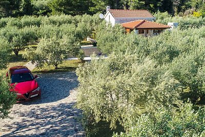 Ferienhaus mit Gartenpavillon