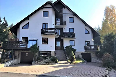 Ferienwohnung im Skigebiet
