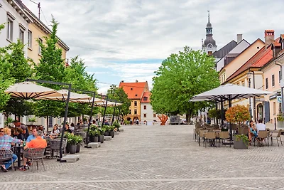 Vakantiehuis Ontspannende vakantie Otočec