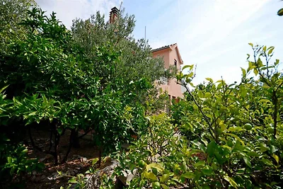 Ferienhaus mit Klimaanlage und Meerblick