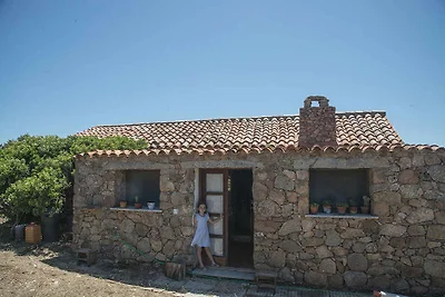 Vakantiehuis Ontspannende vakantie Sassari