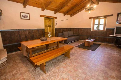 Ferienhaus umgeben von Olivenhainen