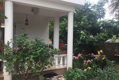 Ferienwohnung mit Sommerküche Nutzung