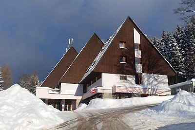 Ferienwohnung im Parkhotel