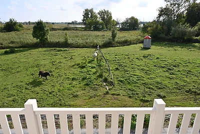 Casa vacanze Vacanza di relax Poseritz