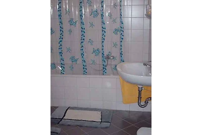 Ferienwohnung mit grosser Terrasse im