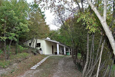 Ferienhaus mit Panoramablick