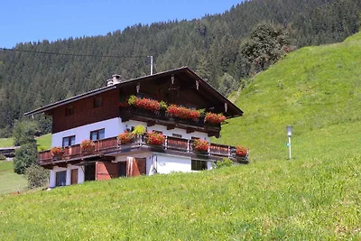Appartamento Vacanza con famiglia Hart im Zillertal