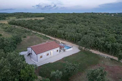 Ferienhaus Mit grossem Garten Pool