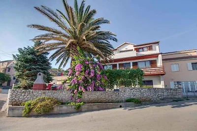 Appartamento Vacanza con famiglia Mali Lošinj