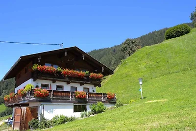 Appartamento Vacanza con famiglia Hart im Zillertal
