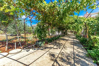 Appartement Vacances avec la famille Molunat