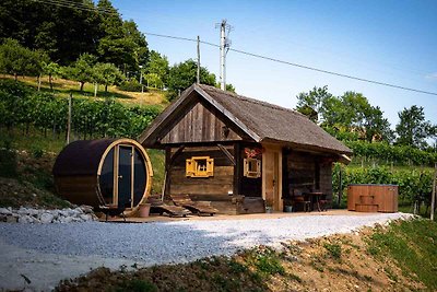 Hütte mit schöner Aussicht, Sauna und