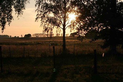 Bungalow mit Gartenblick